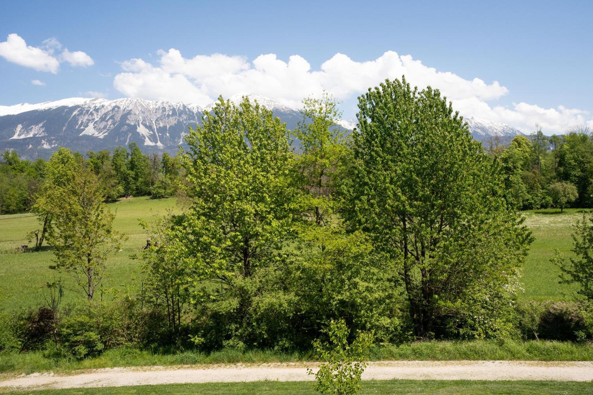 Mountain Suite Jula Bled Kültér fotó